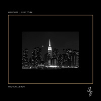 Pao Calderon @ New York City Vinyl only Halcyon record store