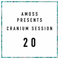 Cranium Session 20