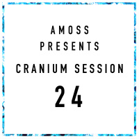 Cranium Session 24