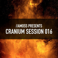 Cranium Session 016