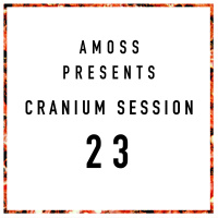 Cranium Session 23