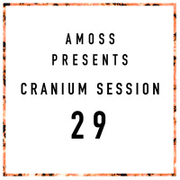 Cranium Session 29