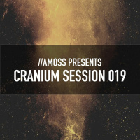 Cranium Session 019