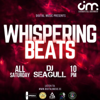 Seagull - Whispering beats 18