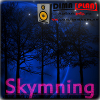 DIMA [PLAN] - SKYMNING