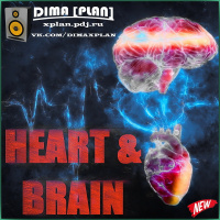 DIMA [PLAN] - HEART  BRAIN