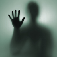 NO SIGNAL Chapter. 4 Shadow Fight