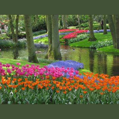 10 Historias 10 Canciones