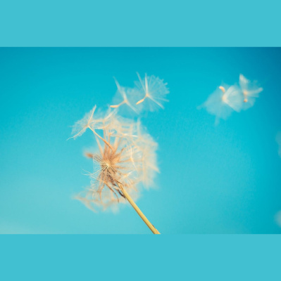 10 Historias 10 Canciones