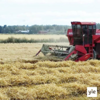 Muuttaako ilmastonmuutoskeskustelu EU:n maatalouspolitiikan, MTK:n puheenjohtaja Juha Marttila?
