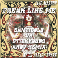 Live mashup - Freak Like Me by DJ Alexey Spark