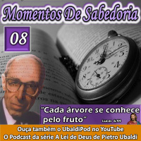 Momentos de Sabedoria#08 Cada árvore se conhece pelo fruto