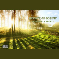 Incredible Apollo - Breath Of Forest (album version)
