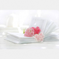 Incredible Apollo - Good Morning, Honey