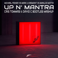 Up N Mantra (Cris Tommasi amp David C Bootleg Mashup)