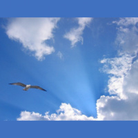 ep.61 Somewhere in deep sky