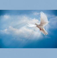 ep.125 Welcome to deep sky