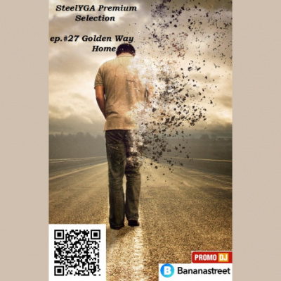 Steelyga Premium Selection Radioshow