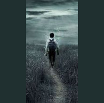 Steelyga Premium Selection Radioshow