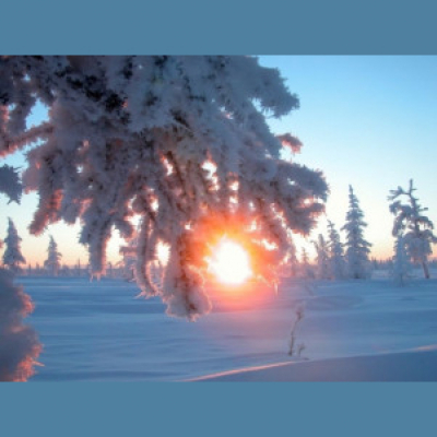 Steelyga Premium Selection Radioshow