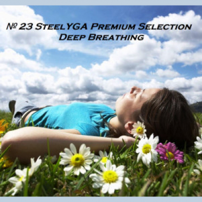 Steelyga Premium Selection Radioshow