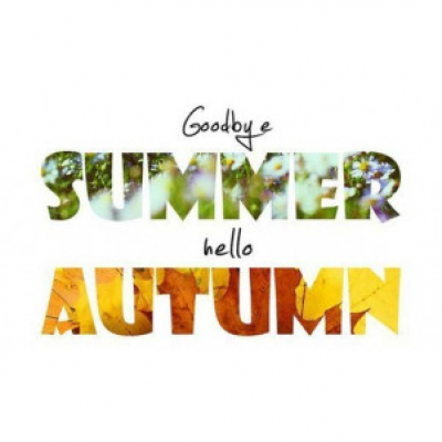 Steelyga Premium Selection Radioshow