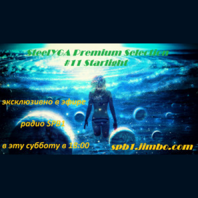 Steelyga Premium Selection Radioshow