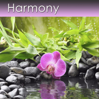 Relaxation Music of Harmony - 30 Minute Recording - Only $0.95