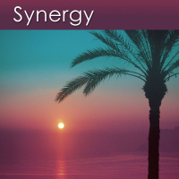 Relaxation Music of Synergy - 30 Minute Recording - Only $0.95