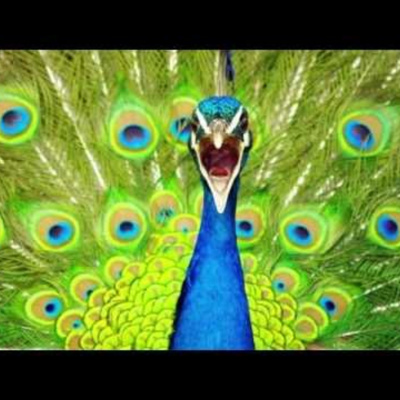 Inside Out W/ Turner And Seth