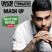 Dima Young vs. TIMATI - Tantum Verde (Horn MashUp Mix)