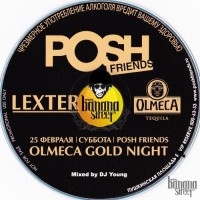 Dima Young - LEXTER (POSHFriends, Москва 2012)