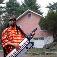 Episode #17: Anniversary Episode - Stevie Wonder  The Band