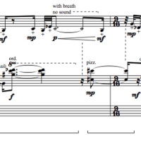 13 Dreams Of The Lotus