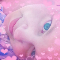 HussyCast Exclusive: Live Because I Am: A Creature Was Stirring: B