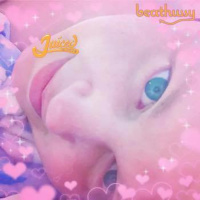 Label Showcase: Juiced Music