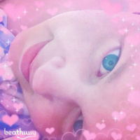 Hussy, the Red Nosed Raver