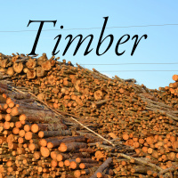 Timber! Show #201 5-24-22