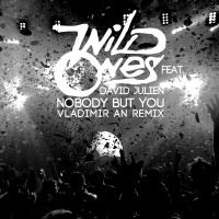 WildOnes feat. David Julien - Nobody But You (Vladimir An Extended Remix)