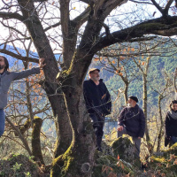 Demésenllà edició #816