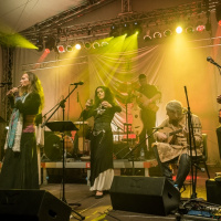 Demésenllà edició #853