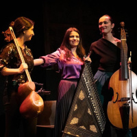 Demésenllà edició #884