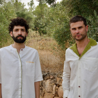 Demésenllà edició #894