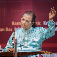 Demésenllà edició #774