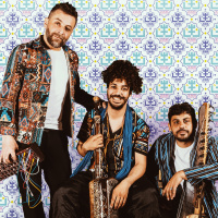 Demésenllà edició #862