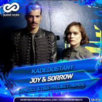 Kadebostany - Joy  Sorrow (ONeill  DS Project Remix)