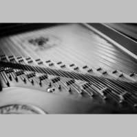 Viennas Fortepiano: The Casio Synthesizer of the 18th Century