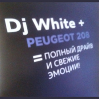 Misha White - Peugeot 208 Funky Mix 2013