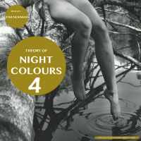 THEORY OF NIGHT COLOURS 4