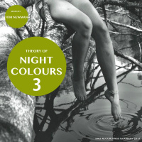 THEORY OF NIGHT COLOURS 3